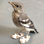 Baby bird flip flops