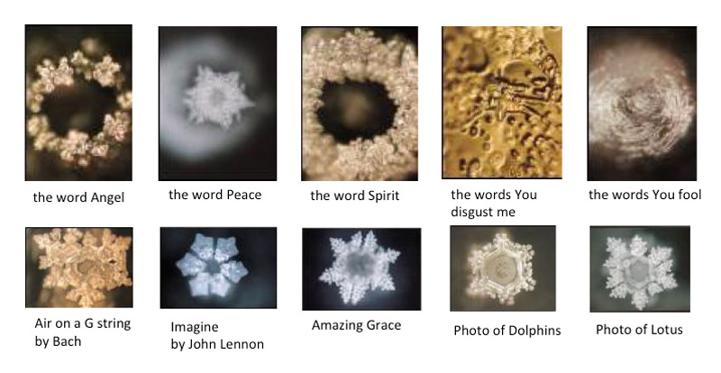 emoto water experiment fake