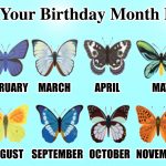 Your birthday month butterfly