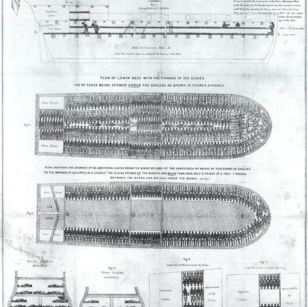 Diagram of a Slave Ship