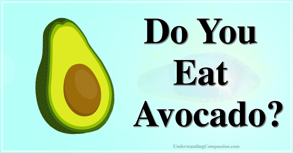 This Is What Happens To Your Body When You Eat Avocado Every Day