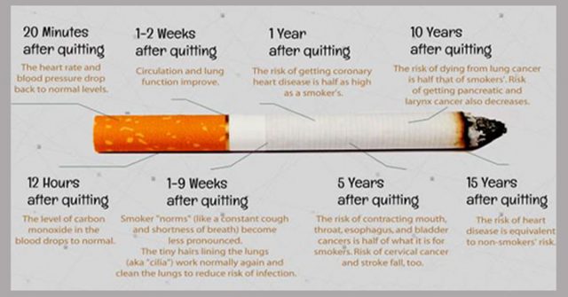 Here Is What Happens To Your Body When You Quit Smoking 8683