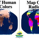 The Biology Of Human Variation