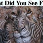 What Did You See First?