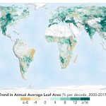 NASA Happily Reports- The Earth Is Greener, With More Trees Than 20 Years Ago, Thanks to China, India 1