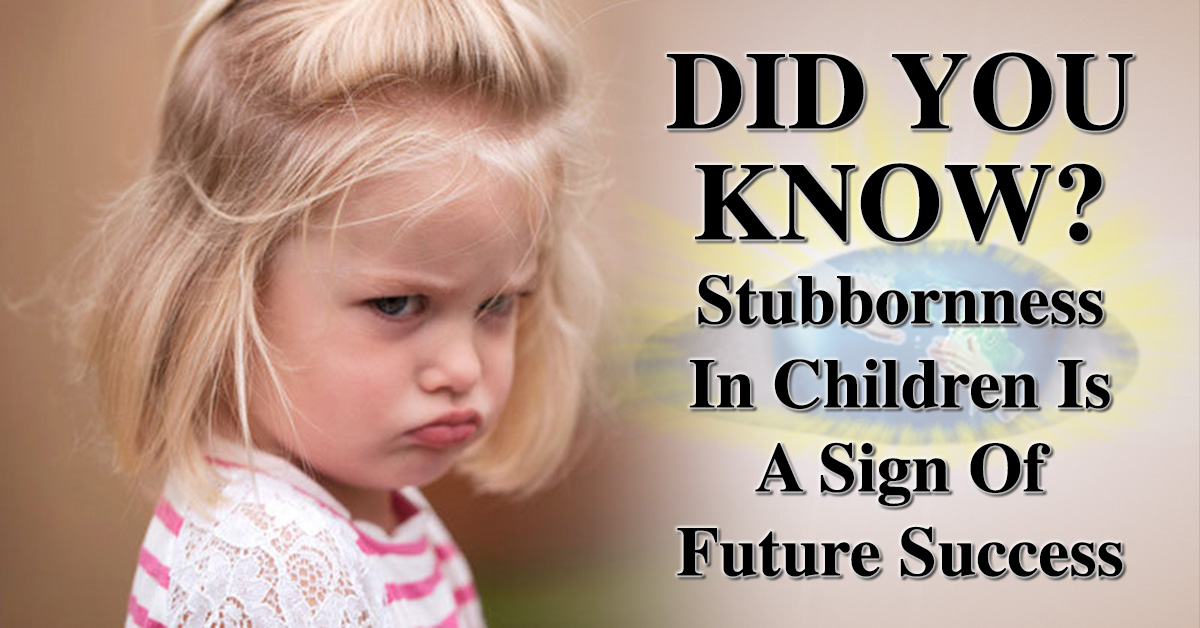 Meaning of Stubborn by Somebody's Child