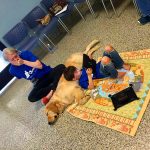 Mother Eternally Grateful As Her Child With Autism, Who Refuses All Touch, Lays Down On His New Service Dog 1