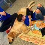 Mother Eternally Grateful As Her Child With Autism, Who Refuses All Touch, Lays Down On His New Service Dog