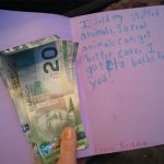 Kind Girl Sells Her Stuffed Animals And Donates The Money To A Local Animal Shelter 1