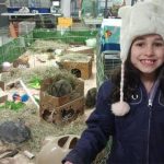 Kind Girl Sells Her Stuffed Animals And Donates The Money To A Local Animal Shelter 2