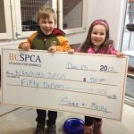 Kind Girl Sells Her Stuffed Animals And Donates The Money To A Local Animal Shelter 3