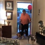 Elderly Woman Living In Car With Dogs Now Has A Home After Kind Women Called On Neighbors For Help 4
