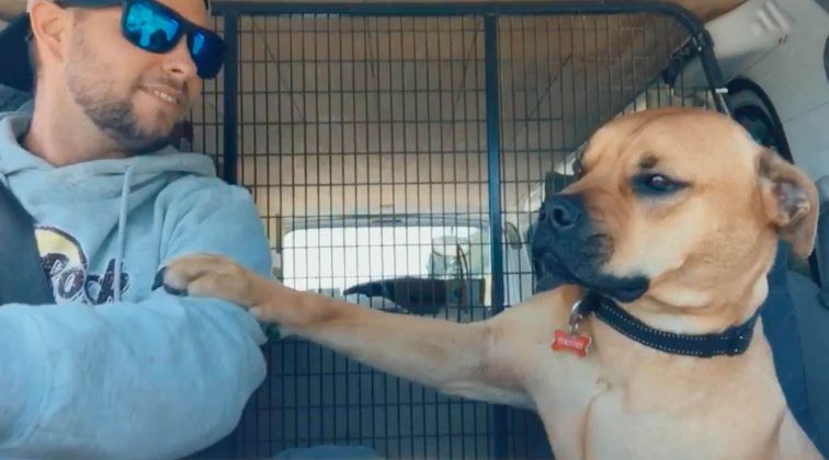 Rescue Dog Refuses To Let Go Of His New Owner's Arm On The Ride To His ...
