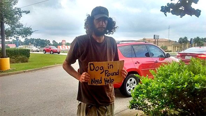 Kind Woman Helped Homeless Man Reunite With His Dog Raised 20K For Their New Life Together 1