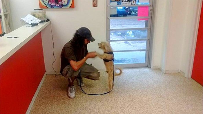 Kind Woman Helped Homeless Man Reunite With His Dog Raised 20K For Their New Life Together 3