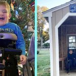 Kind Students Built Bus Stop Shelter To Protect 5-Yr-Old Boy In Wheelchair From The Rain And Wind
