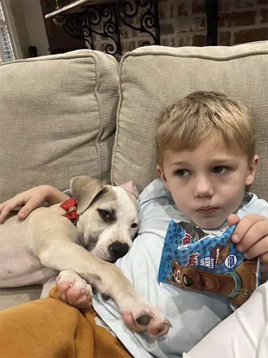 Sweet Little Boy Wrote This Heartwarming Letter About Puppy He Fostered ...